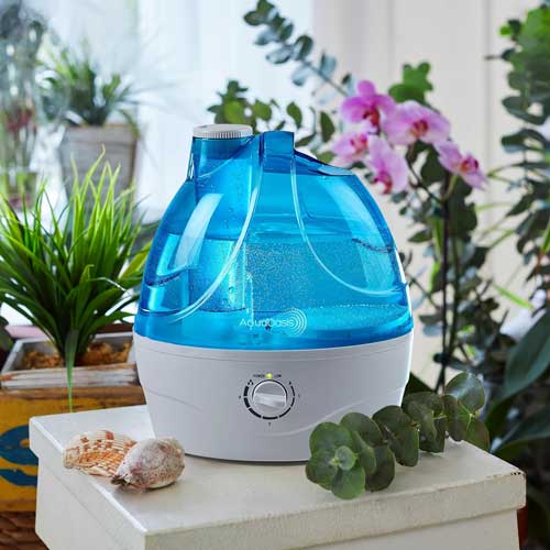 AquaOasis – Cool Mist Humidifier